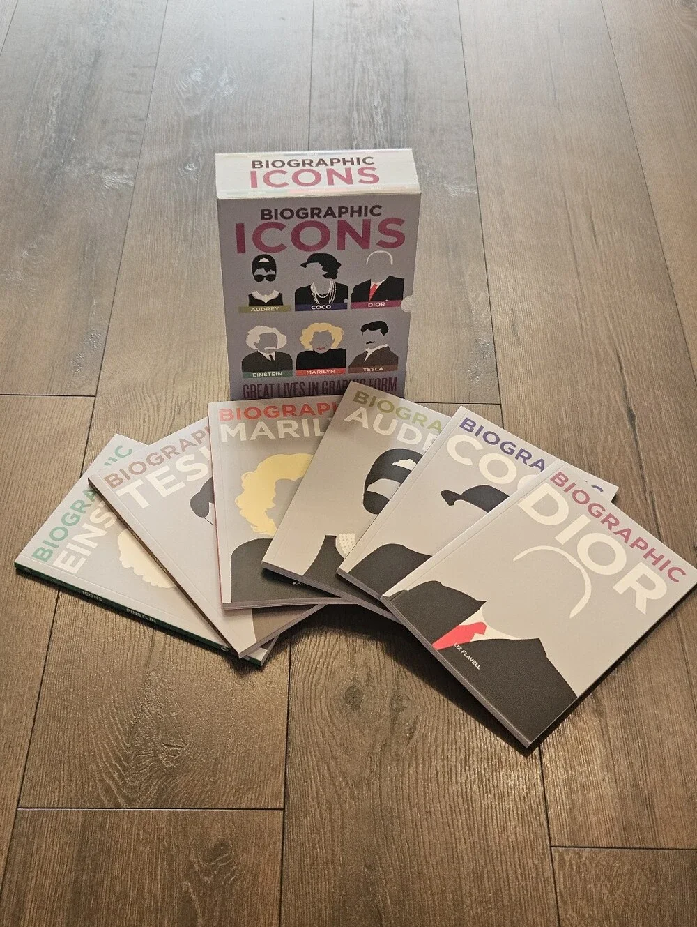 Biographic Icons 6 Book Box Set Coco Chanel Dior Audrey Marilyn Tesla Einstein